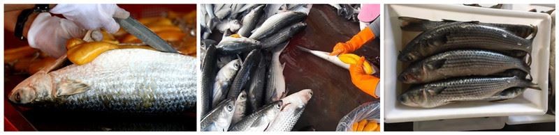 product-1-1 product-1-1