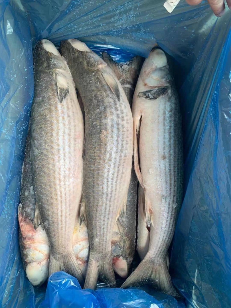 product-1-1 product-1-1