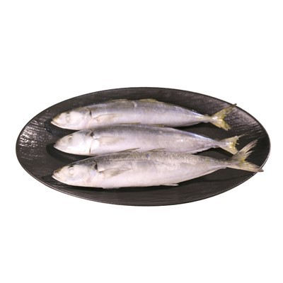 カスタマイズされた冷凍ラヤン