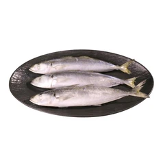 カスタマイズされたラヤン Scad