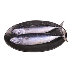 冷凍かつおまぐろ