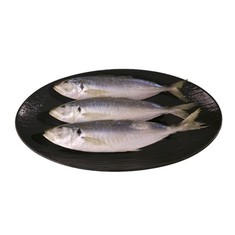 冷凍ラウンドscad