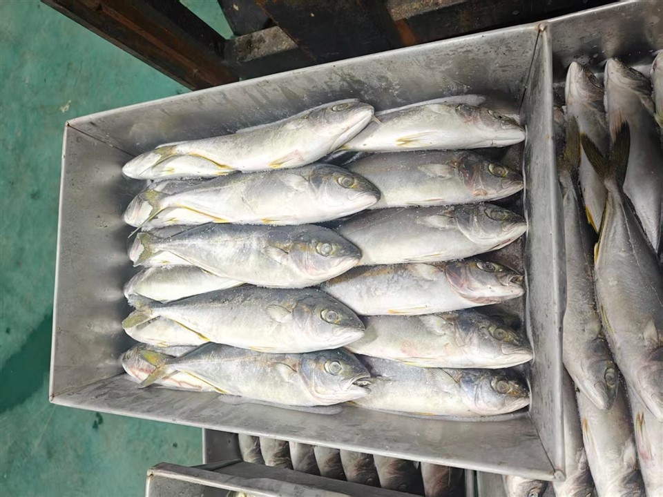 aa70d49a1277ac6c6435657e3bbe8391_