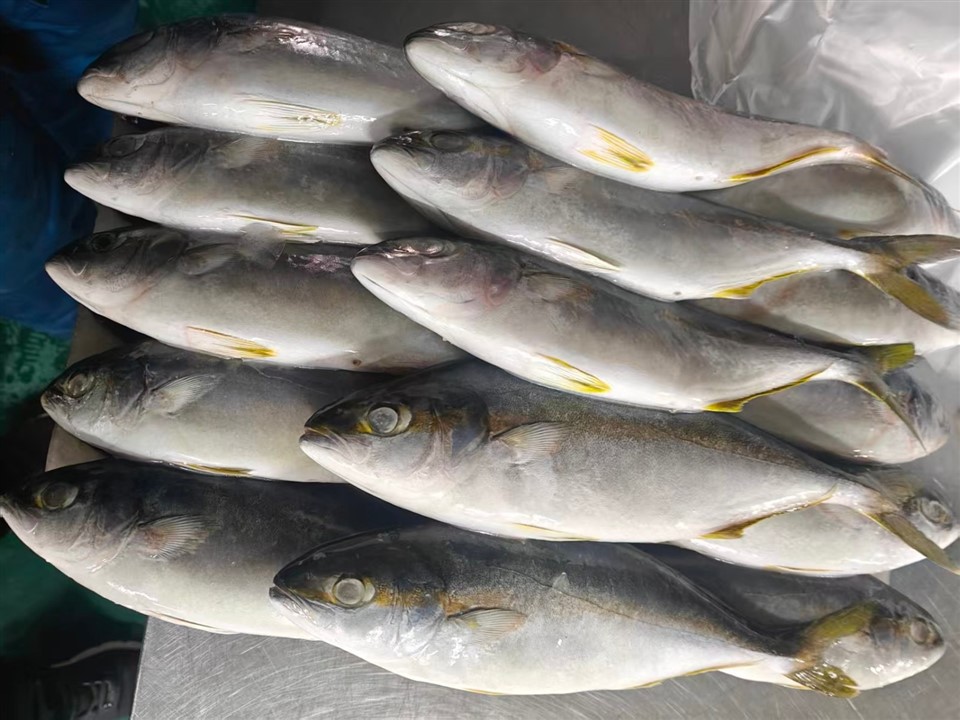 cd0ce707527a4f170ee52950fd15f6ea_