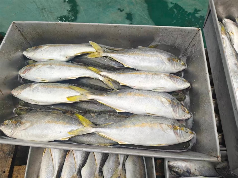 859dde4ca9285989db87bb79bd62ab5d_