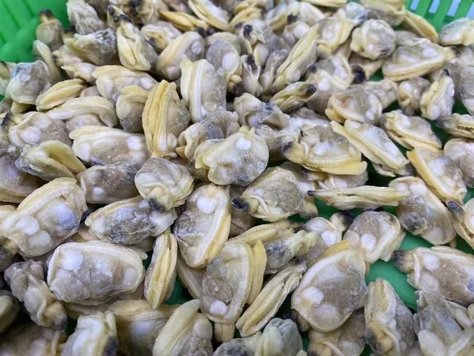 b2890c7dc8a7770c303c7127a15f2407_