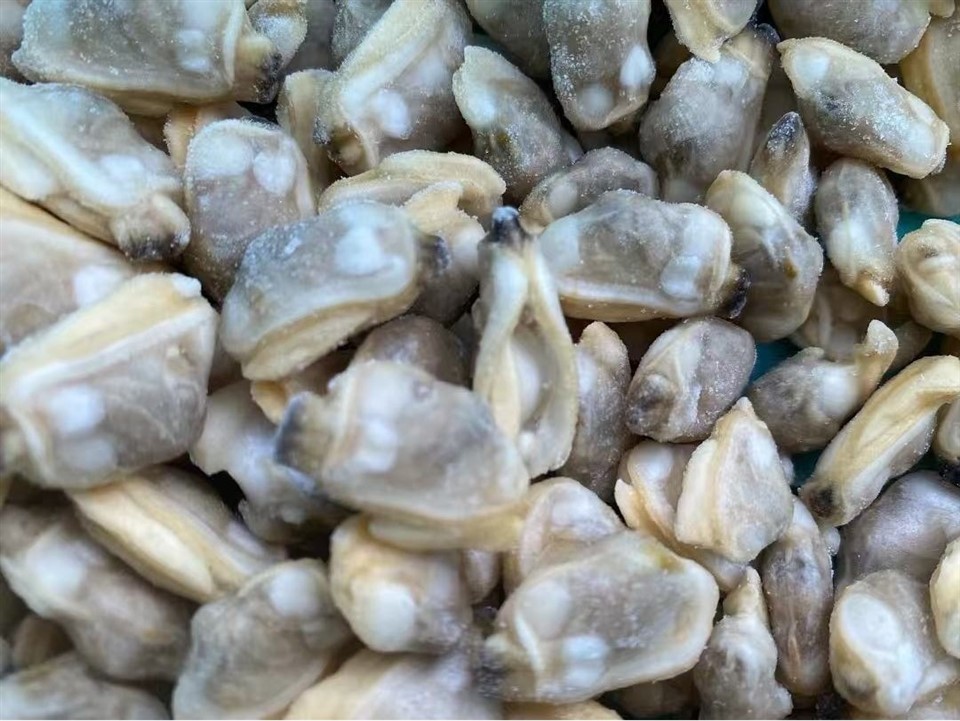 55dced679d286550610e4f59cf6d9cc0_