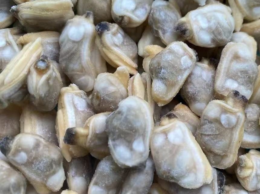 f488cf197ef7abc59f95b44ddf93ce8e_