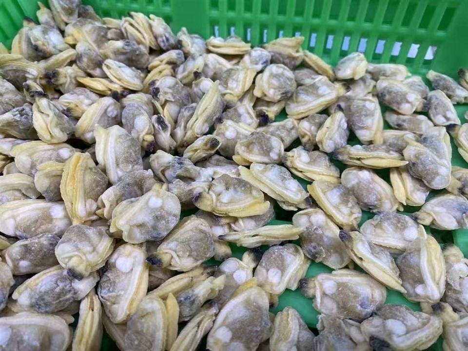 707667445461e990038415bd95137b93_