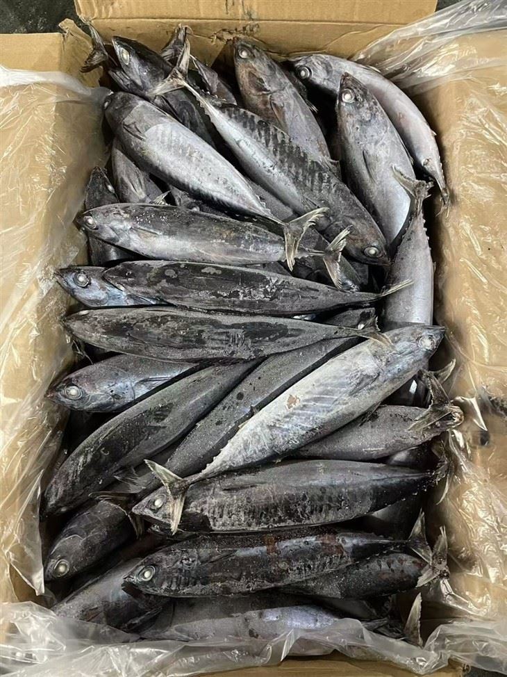 1cd819f4a1199d1e138a443cd7caab9a_