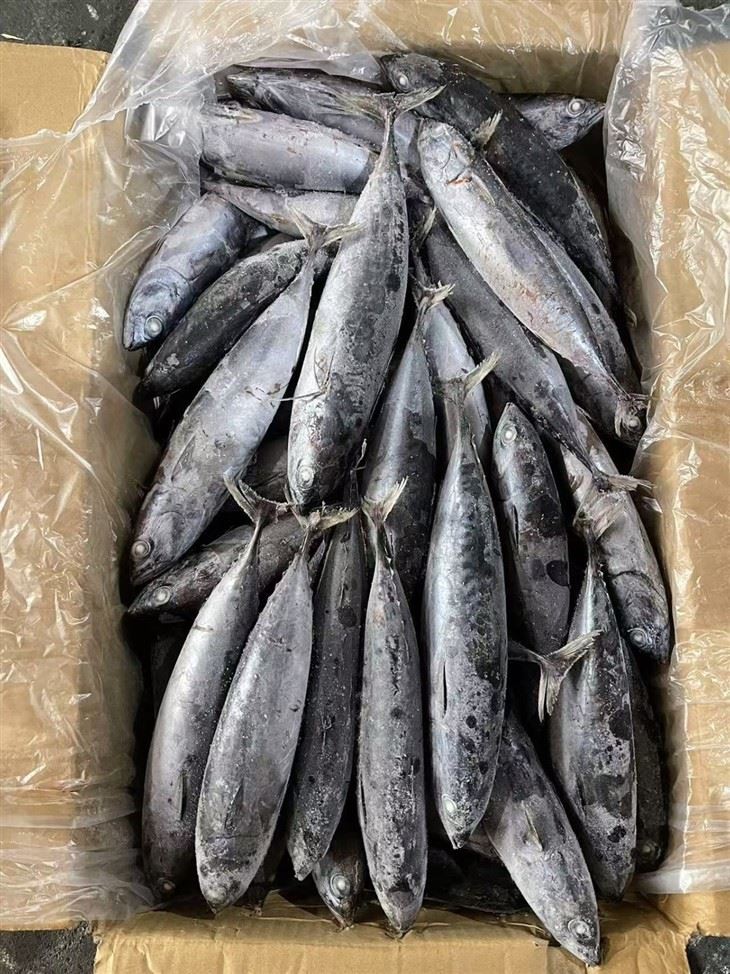 639ab38d071fb6a4ec602050816a1987_