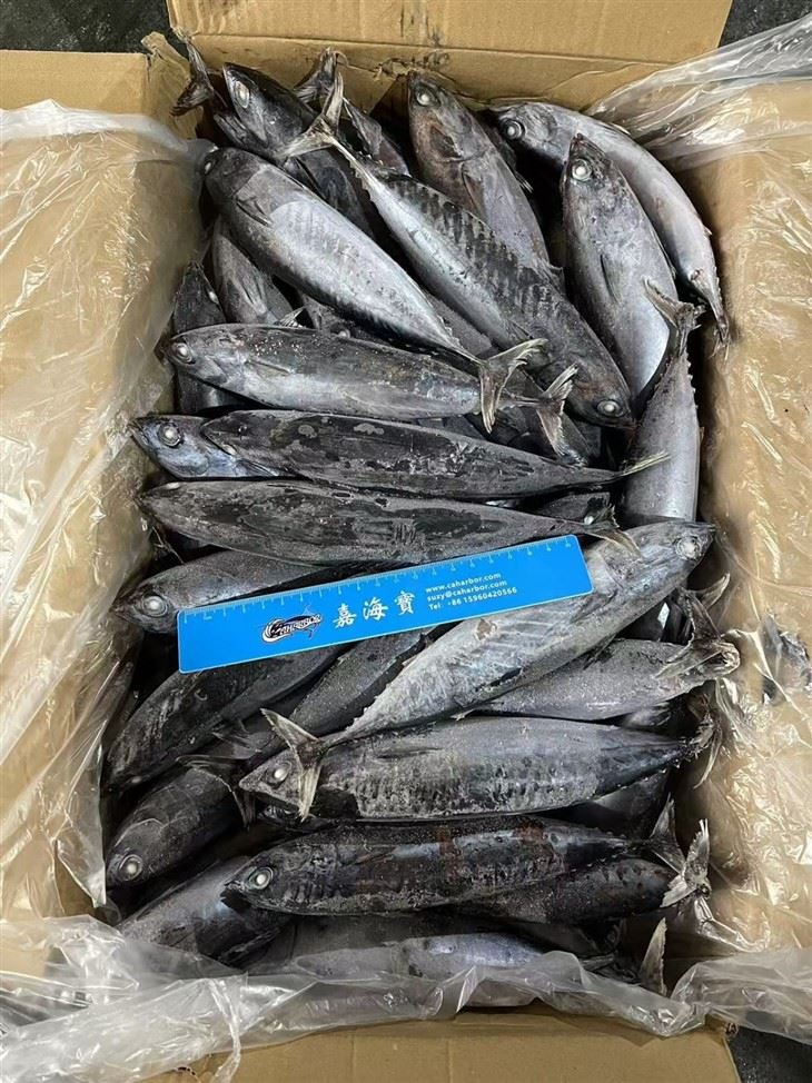 9b1ac9aa8a01c8620fdc708b6b84fa67_