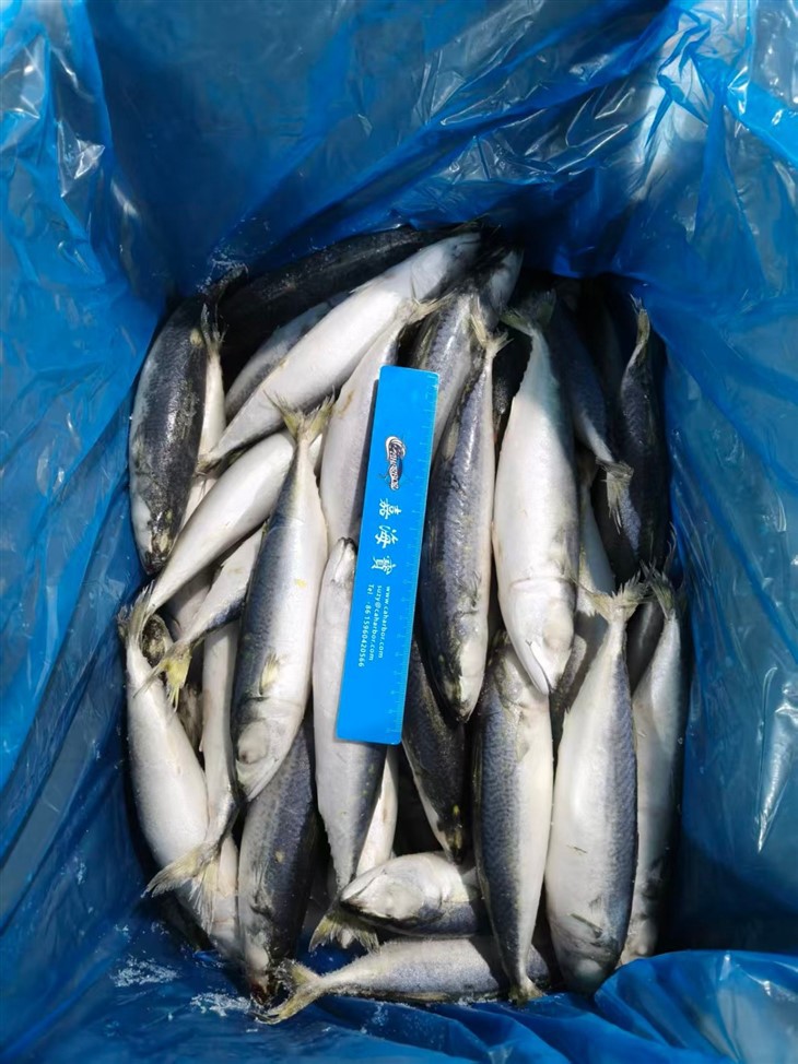 334cd46bb9af6a38155f6ee0ee8f2b64_