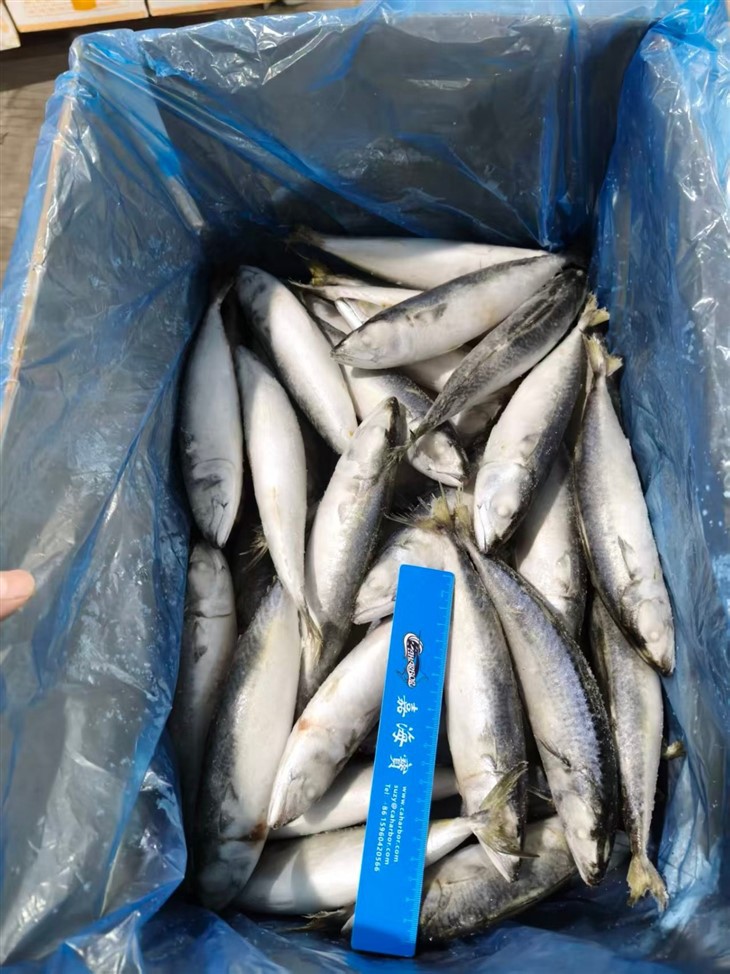 703a03a46f365e73cd560db1e7a42b25_