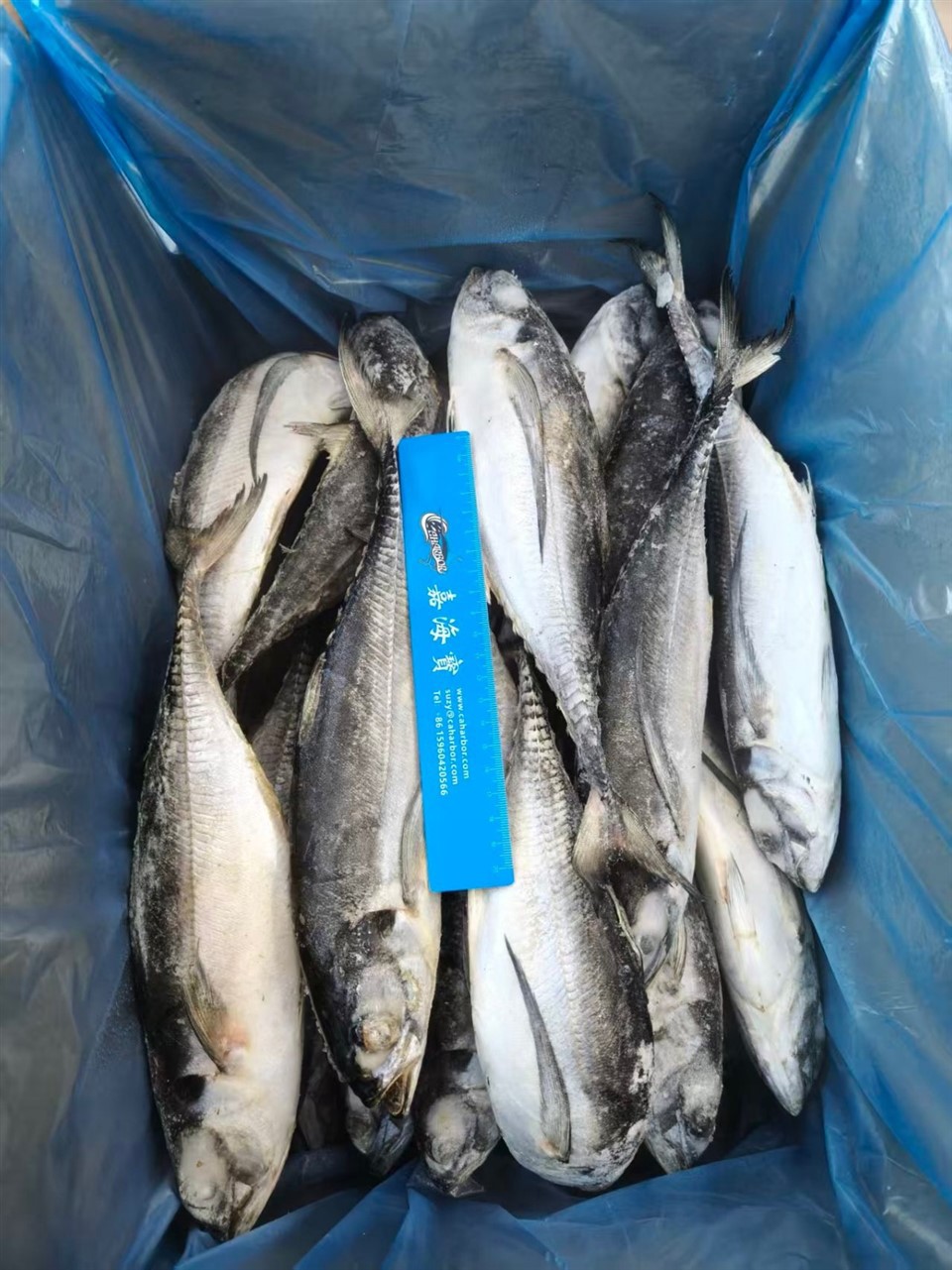 a15a970c890d9dcd6961bf37d3fdab6e_