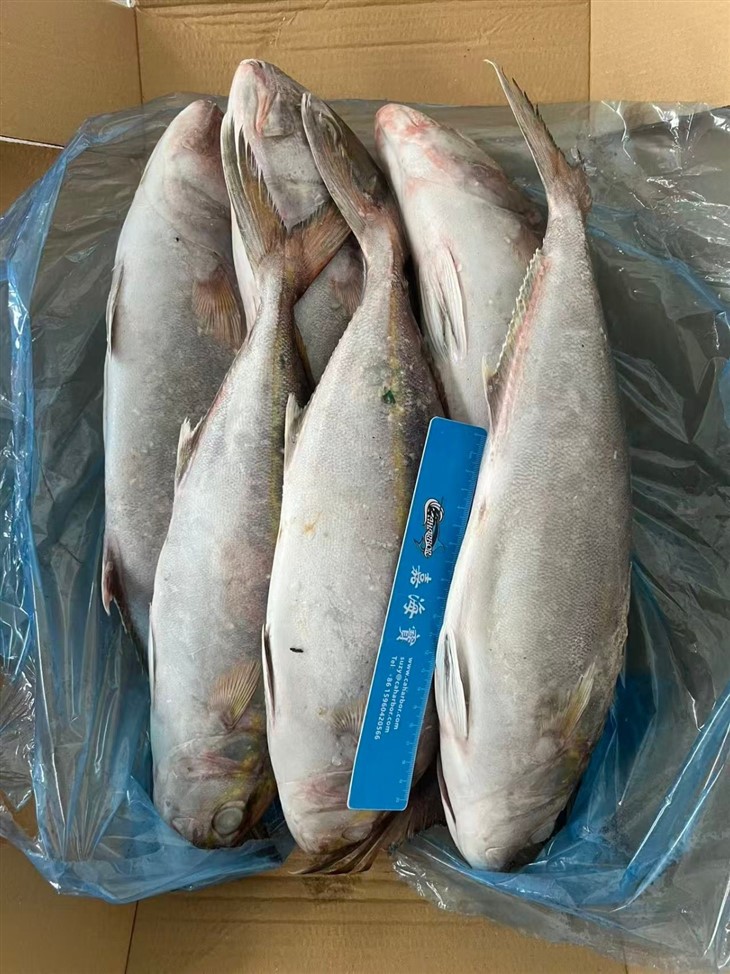 956c65452a376c3a232ece7d4a135597_