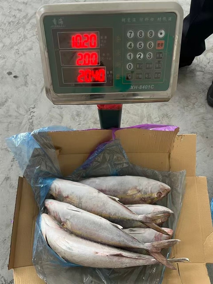 41556635aeabb8fced603847efe0260b_