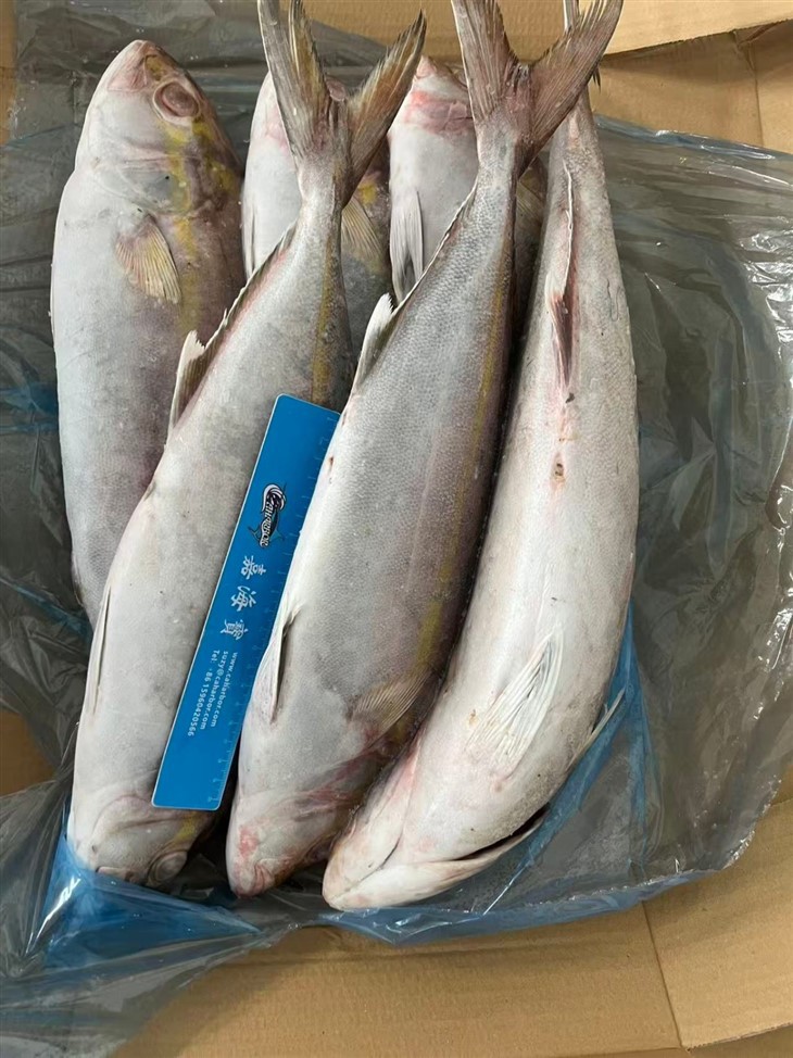 8d8a414bf40252cba3073017e19342e9_