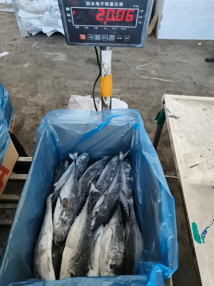 af303210a196fa2dc75886347d29761c_