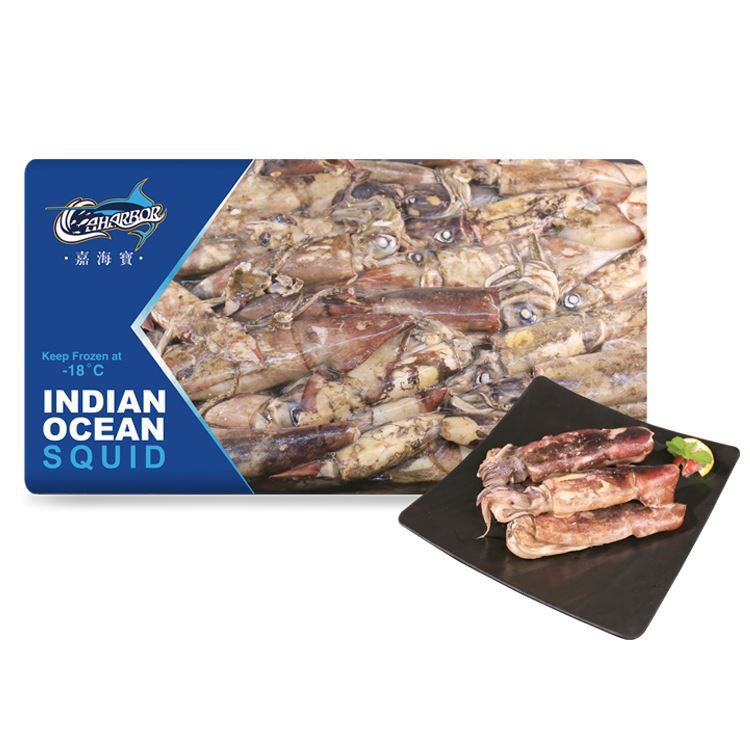 冷凍インド洋イカBQF