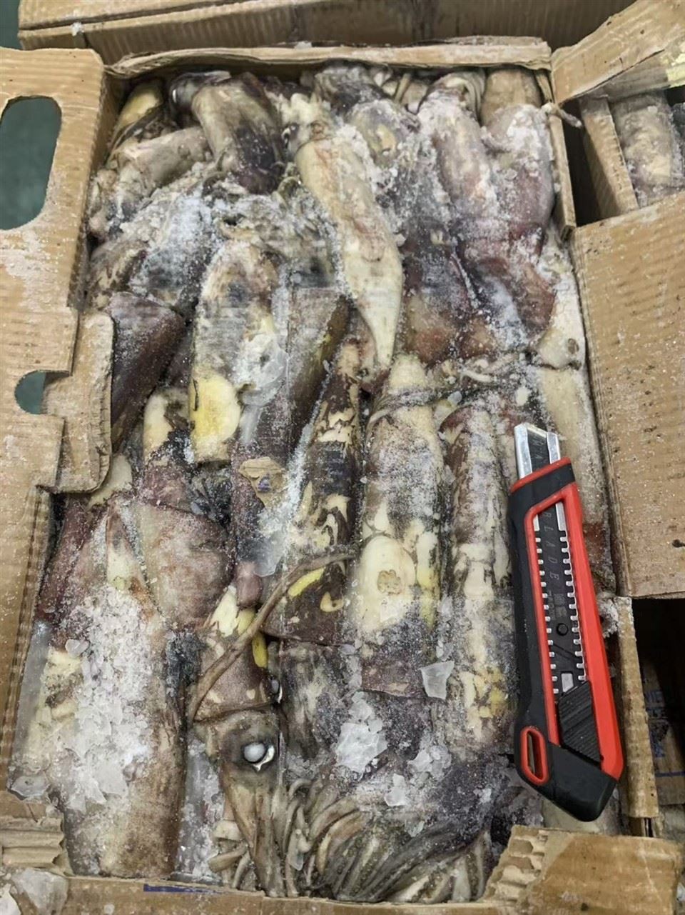 114b849bfc37044db70e27fe65a5fcc8_