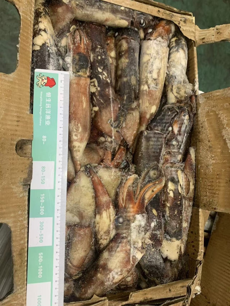 be843400cf41891d9cb11531404e87c7_