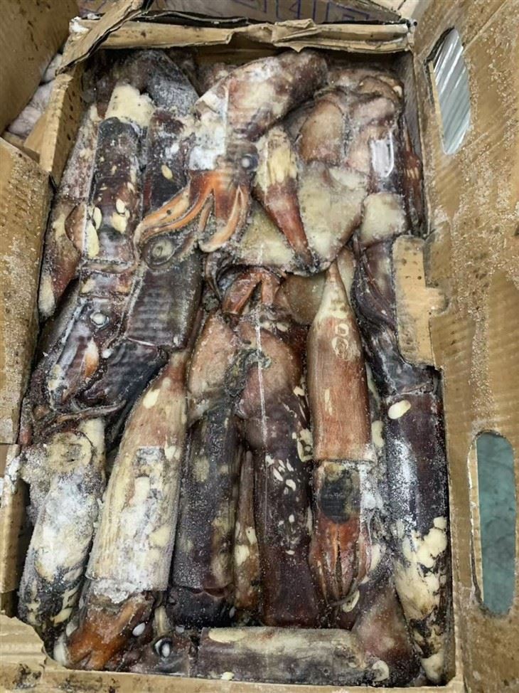 16a33183adb78f05419f5a27d924caff_