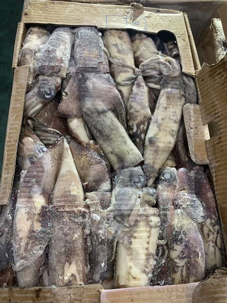 b480561e73404d92f2c9df94d157304c_