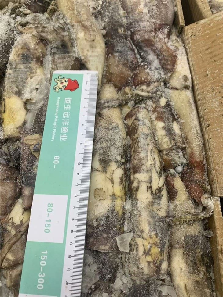 0f454651387574fa58d9c282e1f5001c_