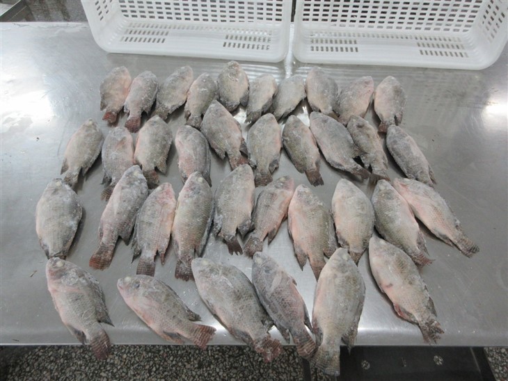 bb300716dc4eb8d66d15d0583e3cf05b_