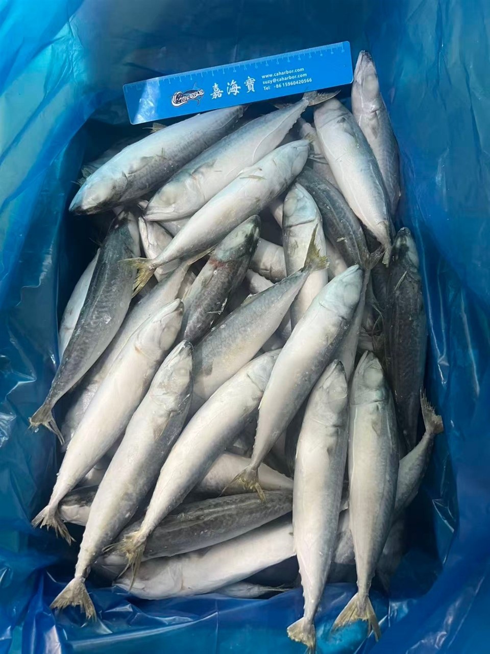 dcc00ae9dbc165dfa96869a9193f1263_