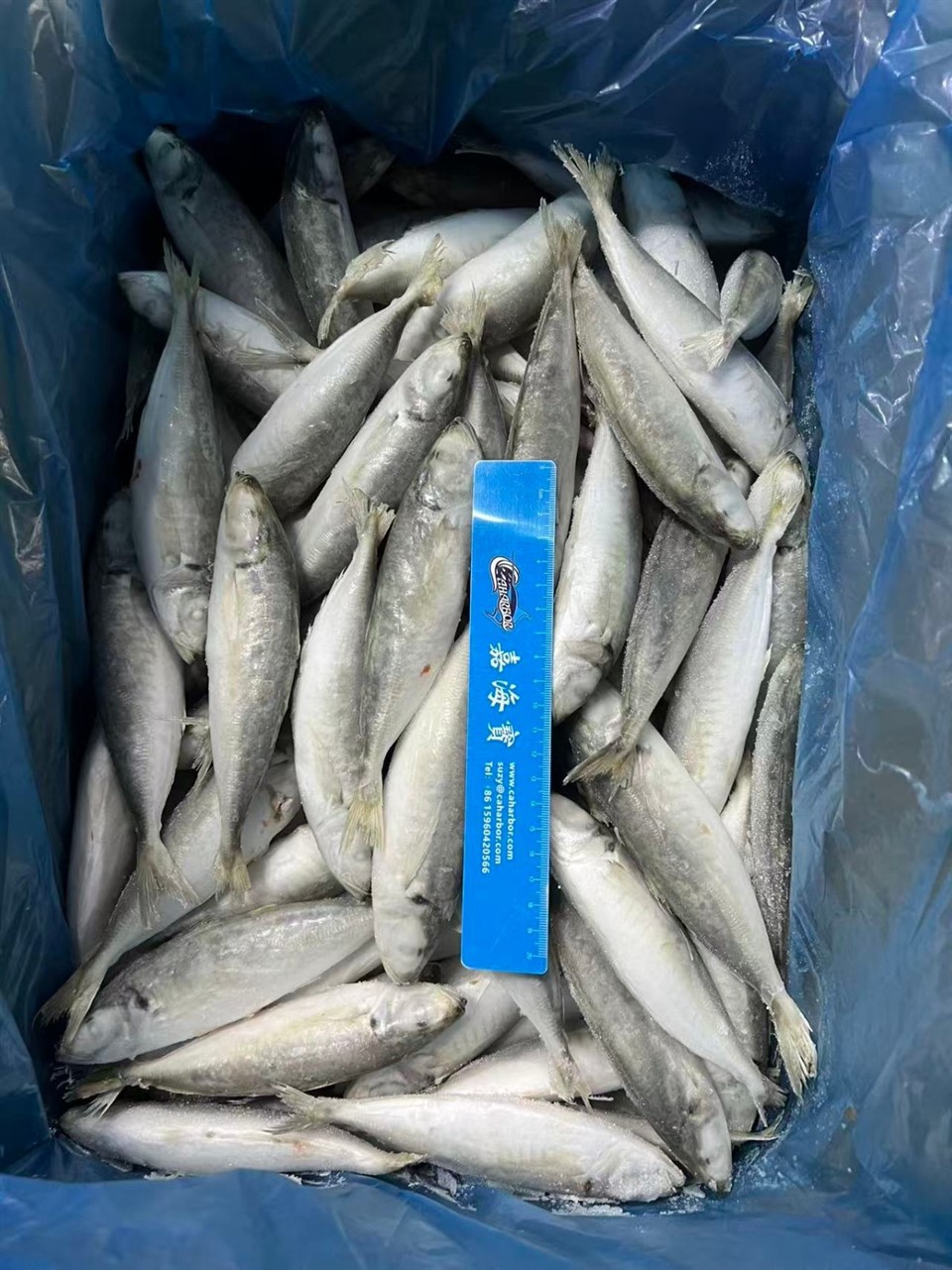 a11ceaf36915f0841ef4502710ab8299_