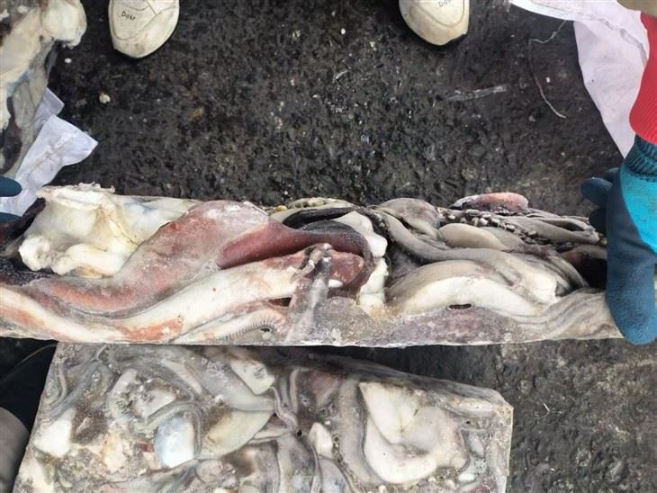 257695c7e1c49f9e9c55cb153cd7db88_