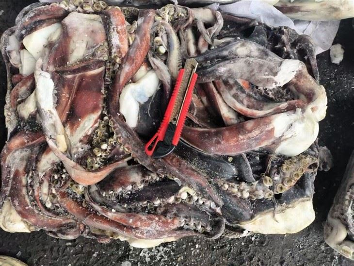 c3c1c43cadd86387a1775361beb85769_