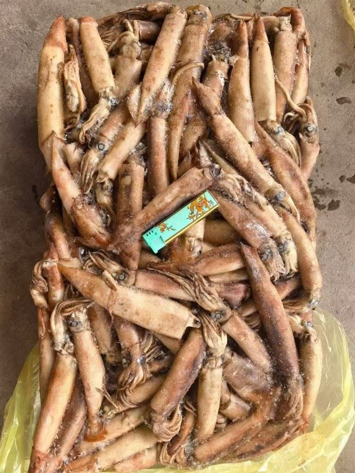 3f96e32c50cb7ac85806191044d91adb_