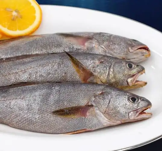 u2992308556182897560fm253fmtautoapp138fJPEGwebp u2992308556182897560fm253fmtautoapp138fJPEGwebp